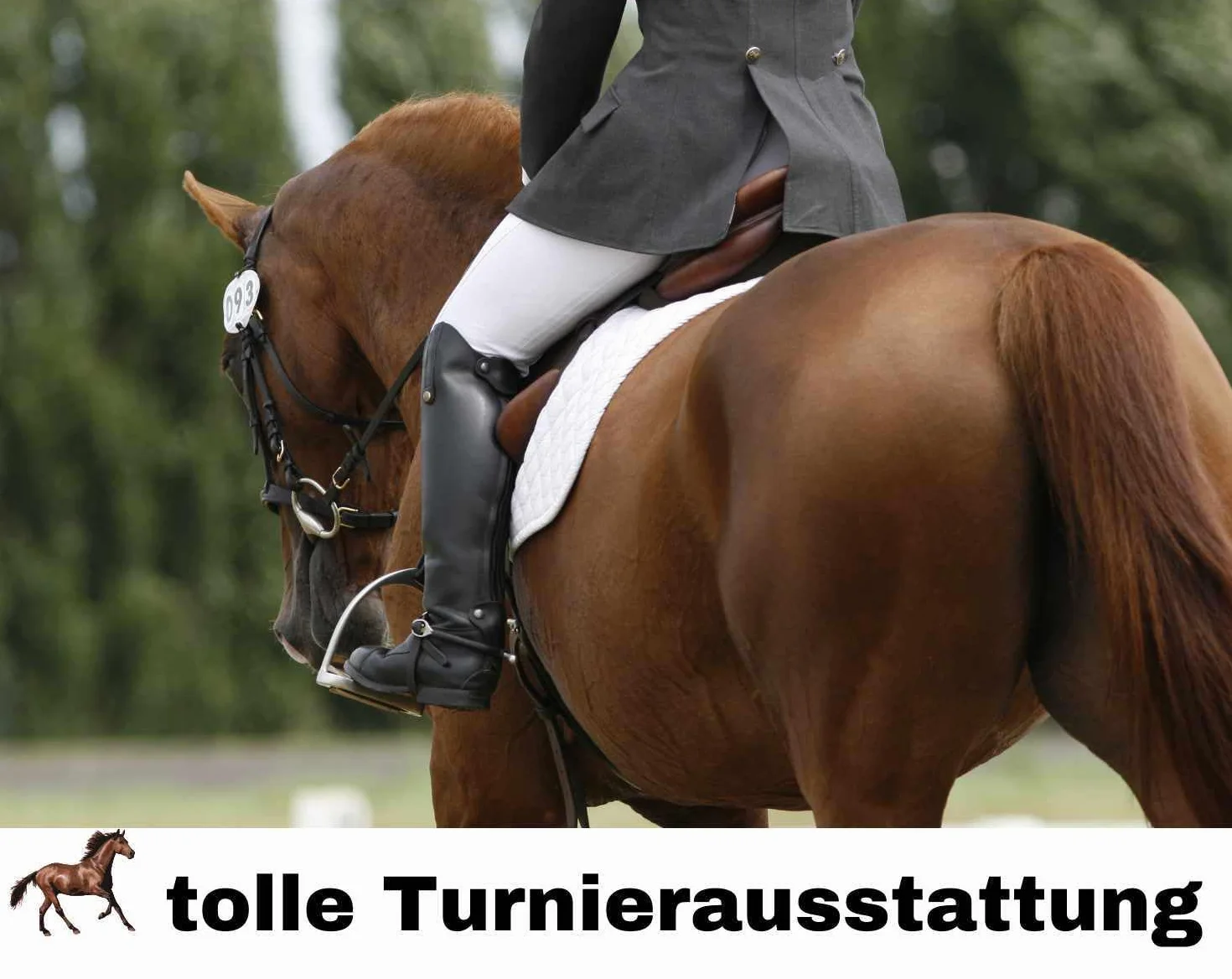 Harry's Horse Plastron Galaxy Plastron Galaxy pour le dressage et l'équitation