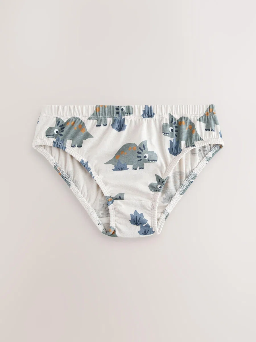 NEXT Garçon Culotte imprimée 100% Coton, Lot de 5 Blue Dinosaur 5 Ans-6 Ans