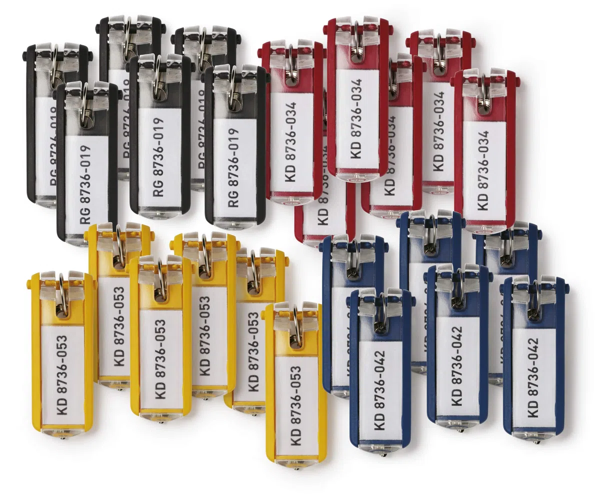 Durable 194927 Key Clip, Lot de 24 Porte-Clés avec Porte-Étiquette Personnalisable pour Armoire à Clés Key Box, Assortis