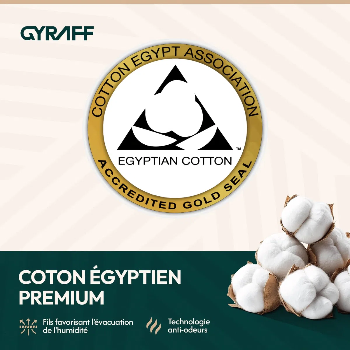 Socquettes de luxe en coton égyptien, Lot de 6, Marque française, Chaussettes Basses antidérapantes, Anti transpiration, renforcées, douces, fines, Homme Femme, Blanches Noires, 35-38, 39-42, 43-46
