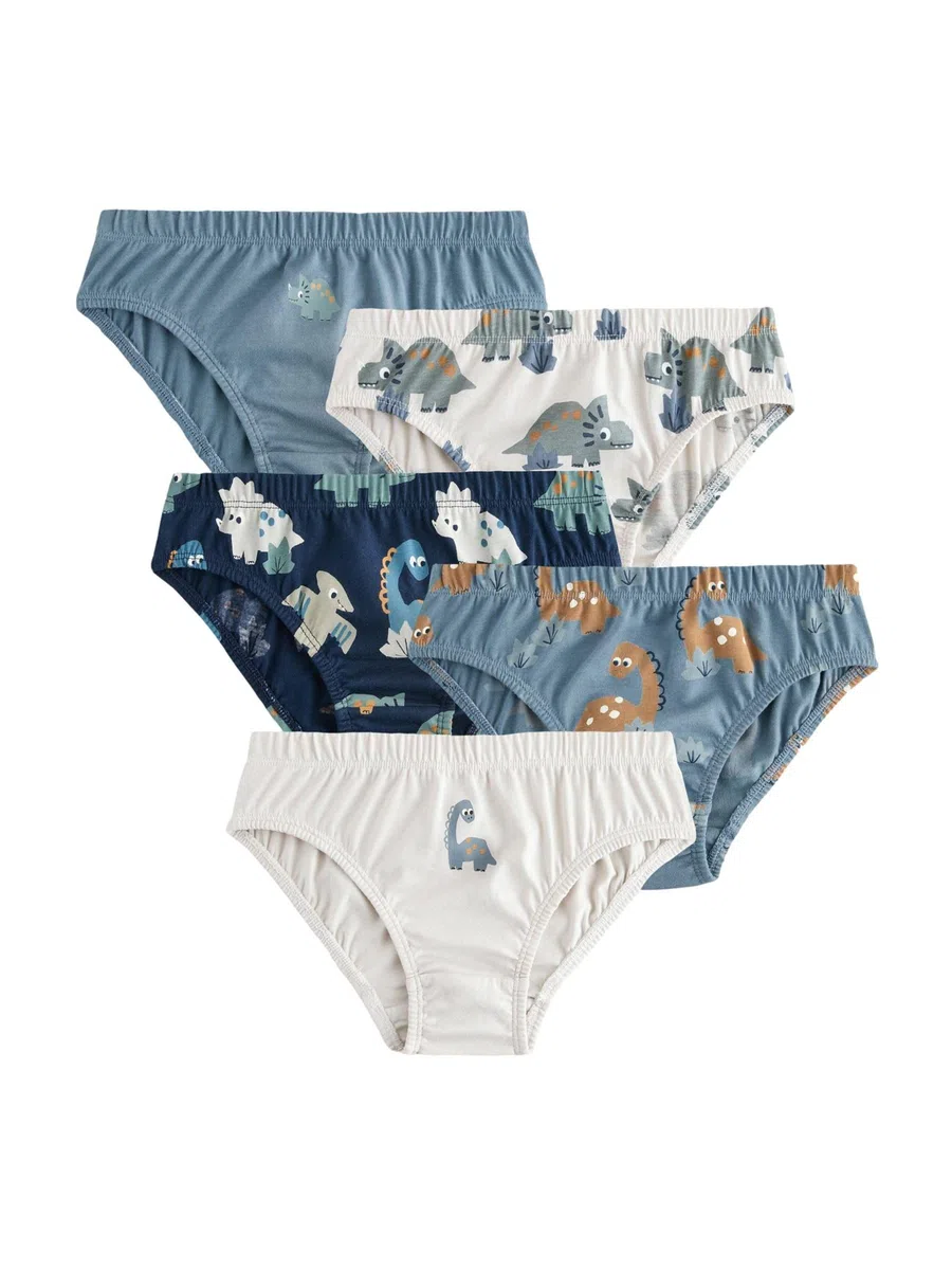 NEXT Garçon Culotte imprimée 100% Coton, Lot de 5 Blue Dinosaur 5 Ans-6 Ans