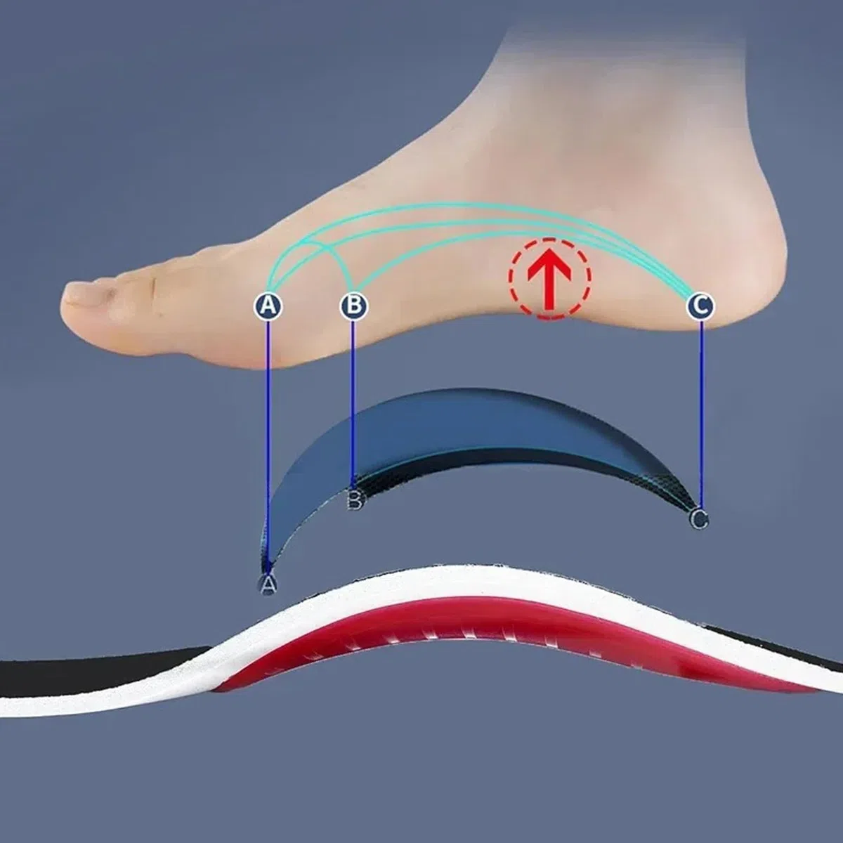 Physeli ArchiStep, Semelles Orthopédiques avec Soutien de la Voûte Plantaire pour Douleurs au Talon, Fasciite Plantaire, Genou et Maux de dos, Design pour Homme et Femme (L 40-46)