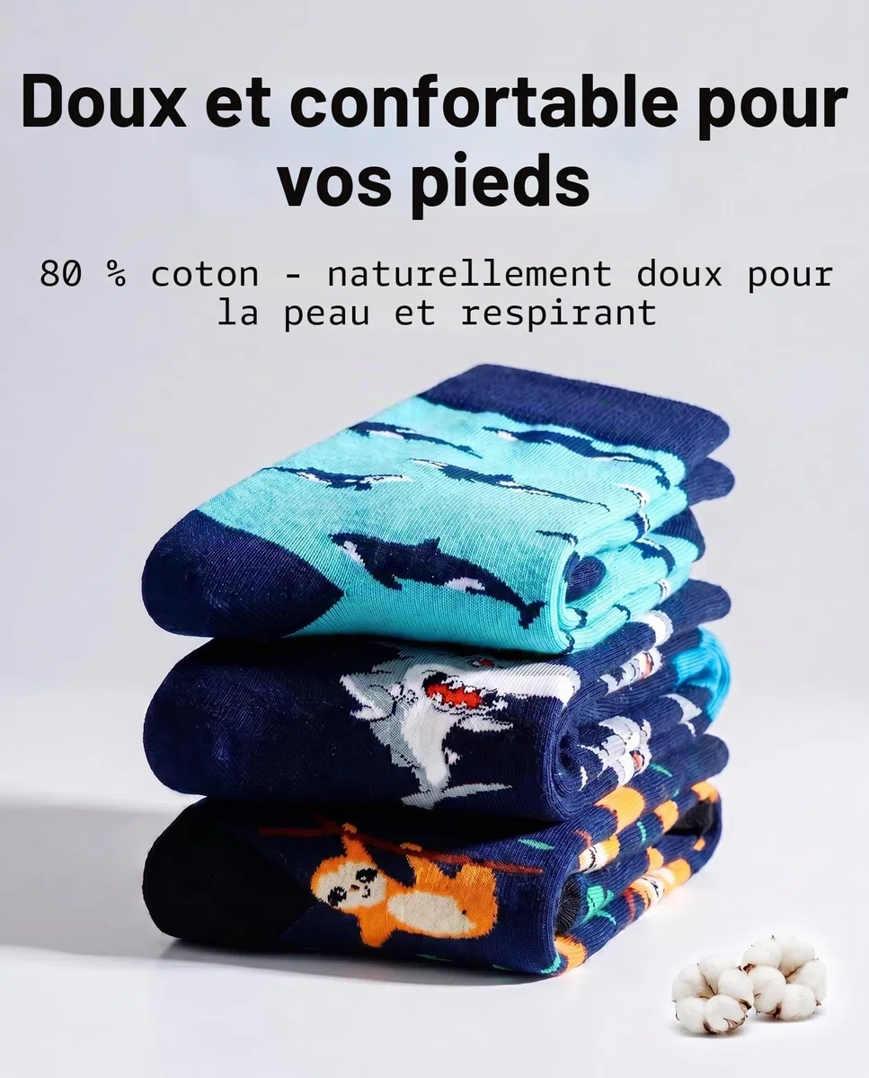 WeciBor 12 Paires Chaussettes Amusantes et Décontractées Pour Homme Colorées Chaussettes en Coton Motif