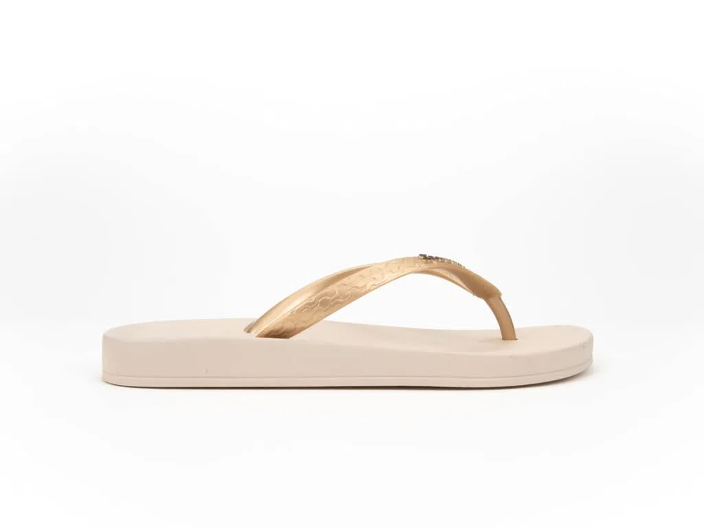 Ipanema ANATOMICA TAN FEM TONGS Femme
