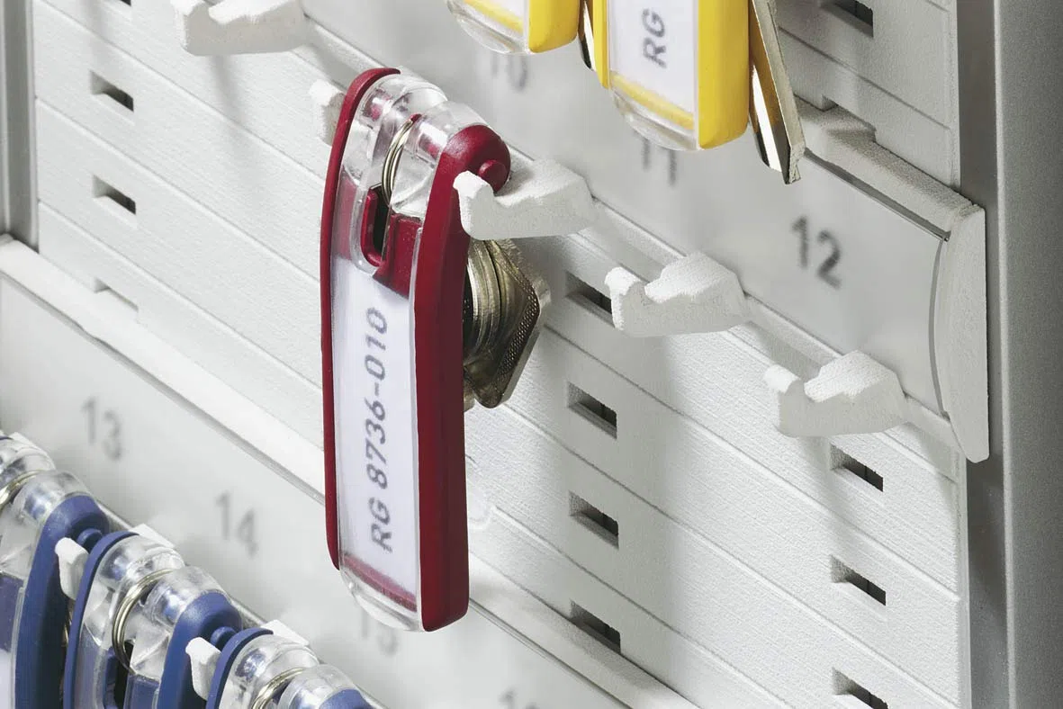 Durable 194927 Key Clip, Lot de 24 Porte-Clés avec Porte-Étiquette Personnalisable pour Armoire à Clés Key Box, Assortis