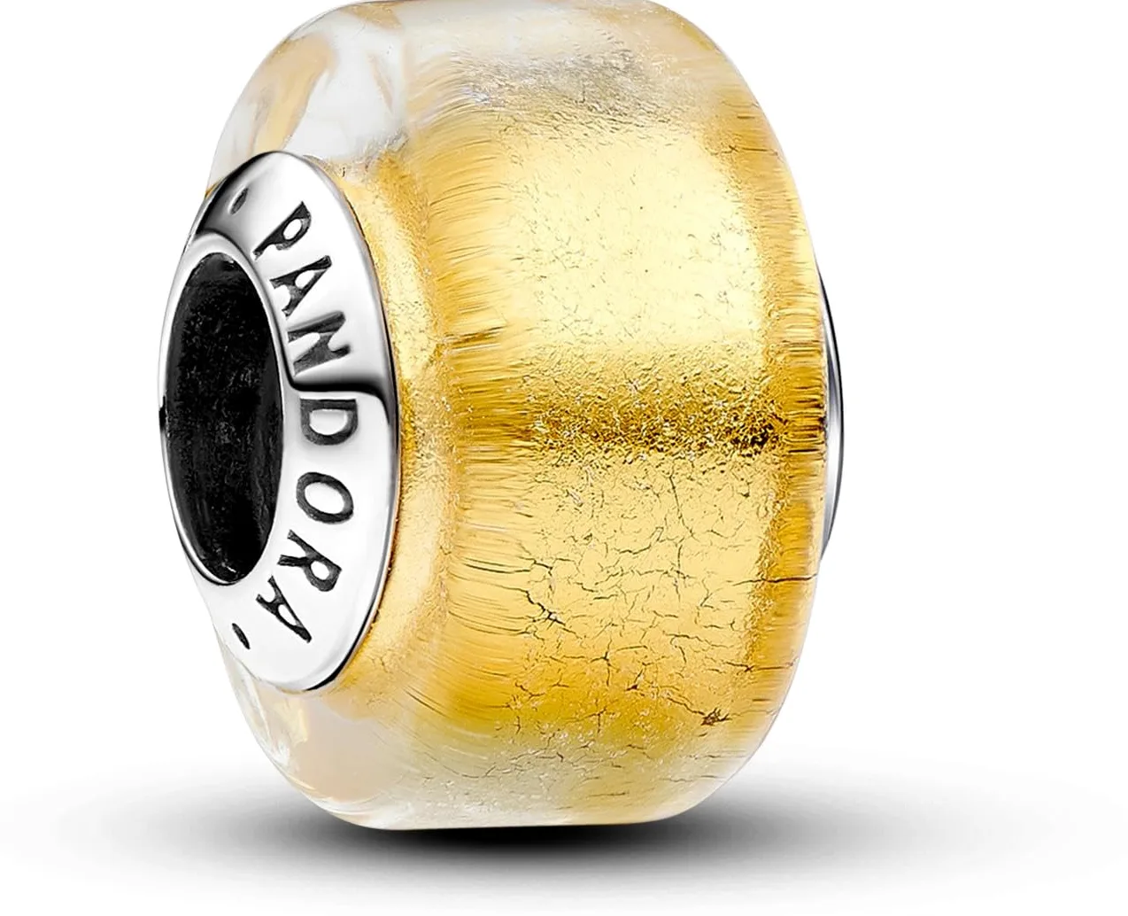 Pandora Moments Charms Famille